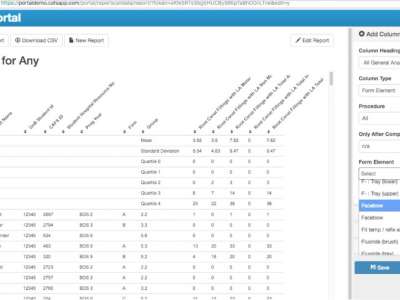 Screengrab of CAFS: The Report Builder